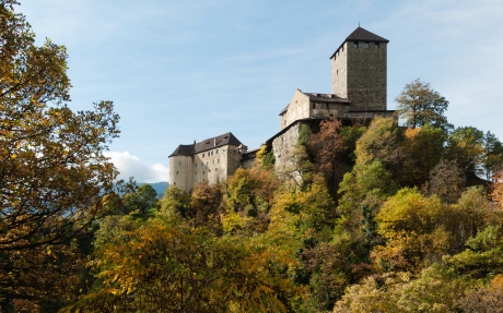 Im Vordergrund Bäume, im Hintergrund das Schloss Tirol.